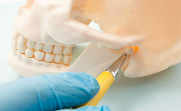 Reparaci&oacute;n de mandibula y dientes